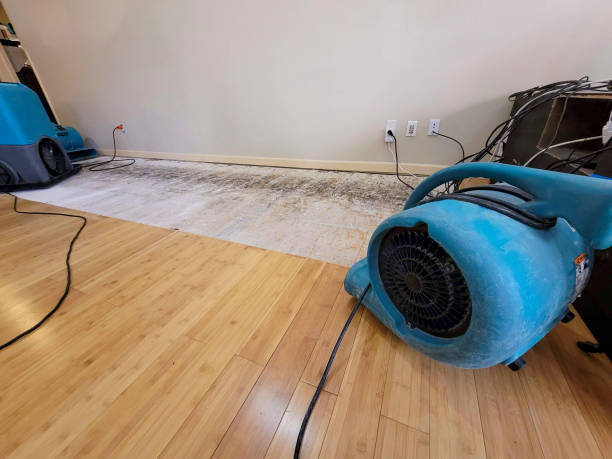 Professional Emergency Water Damage technician working in Tebbetts, MO